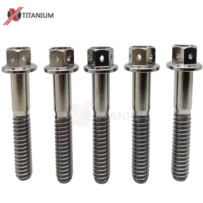 Hex Flange Titanium Bolts